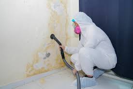 Best Mold Prevention Services  in North Tustin, CA